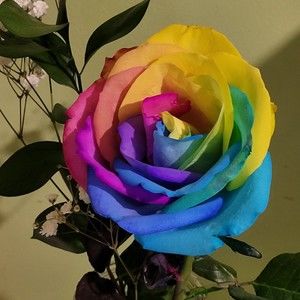 Meet your Posher, Krystal